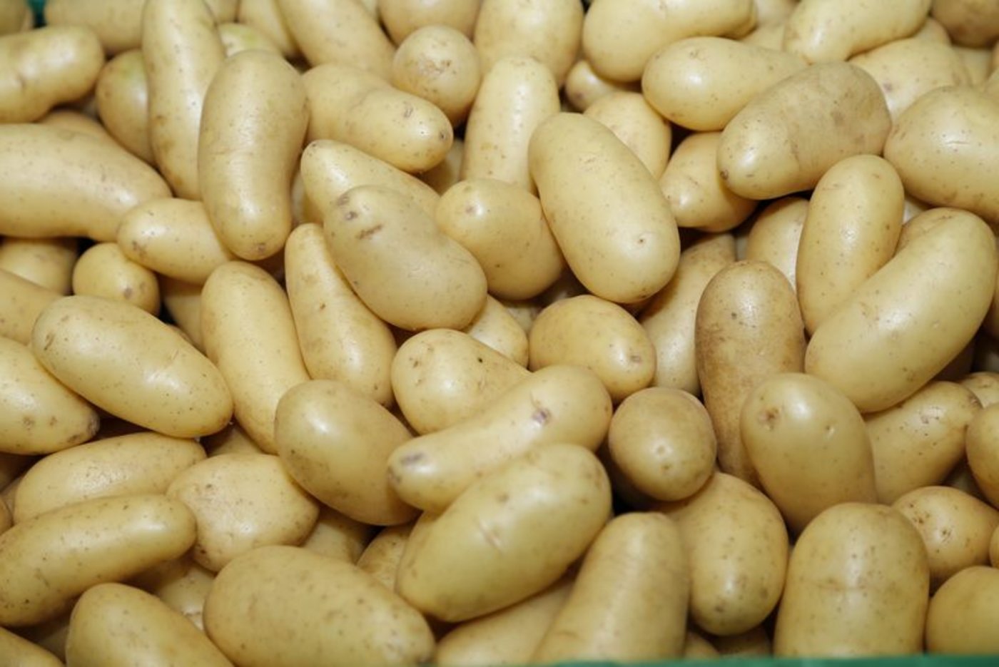 Der Detailhandel hat in den letzten Monaten so viele Kartoffeln verkauft seit 12 Jahren nicht mehr. (Bild lid)