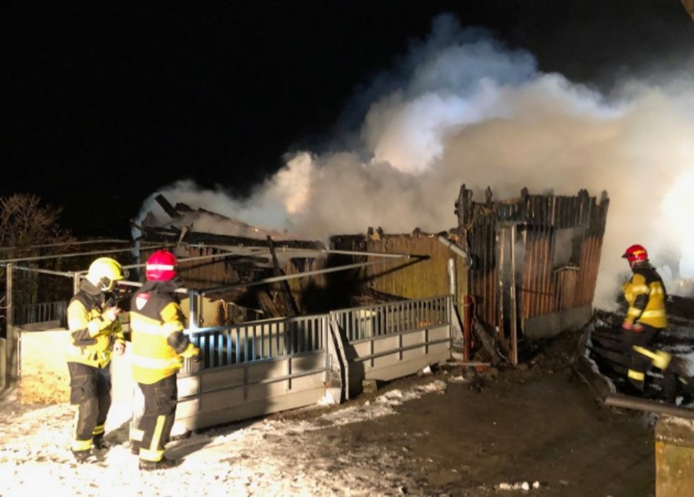 Trotz dem Einsatz der Feuerwehr Hundwil und Herisau konnten die 200 Mastschweine nicht mehr gerettet werden. (Bild Kantonspolizei AR)