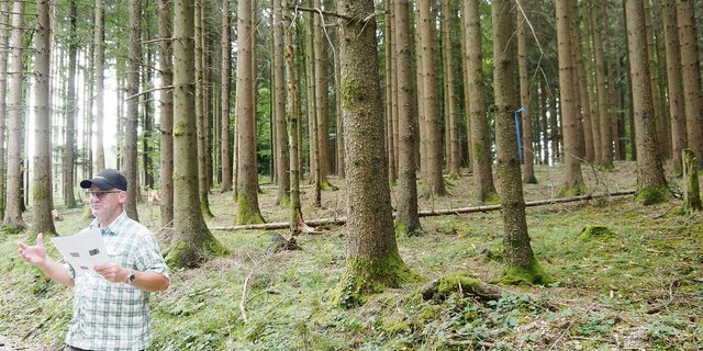 Revierförster Max Brenner vor einem gesunden, etwa 80 Jahre alten Fichtenbestand beim Forsthof Egg im thurgauischen Thundorf, der sich für die Nutzung als Bauholz eignet.