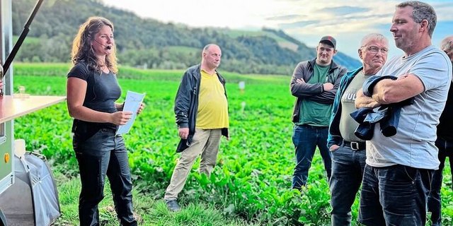 Das Programm ist eng getaktet: Sorten- und Bodenbearbeitungsversuch, Zikandenbekämpfung, Rübenrüssler, Zuckergehalte.
