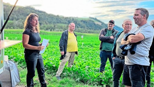 Das Programm ist eng getaktet: Sorten- und Bodenbearbeitungsversuch, Zikandenbekämpfung, Rübenrüssler, Zuckergehalte.