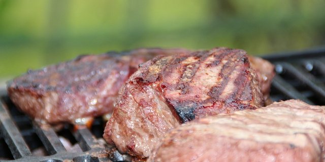 Fleisch sollte nicht zum Luxusprodukt werden, sollte aber dank der Tierwohlabgabe auch keine «Alltagsramschware» sein. (Bild HolgersFotografie/Pixabay)