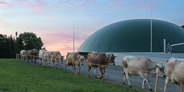 Nationalrat schenkt den landwirtschaftlichen Biogasanlagen Vertrauen, so wie dem Holzhof Landwirtschafts- und Käsereibetrieb in Amlikon-Bissegg. (Bild Ökostrom Schweiz)