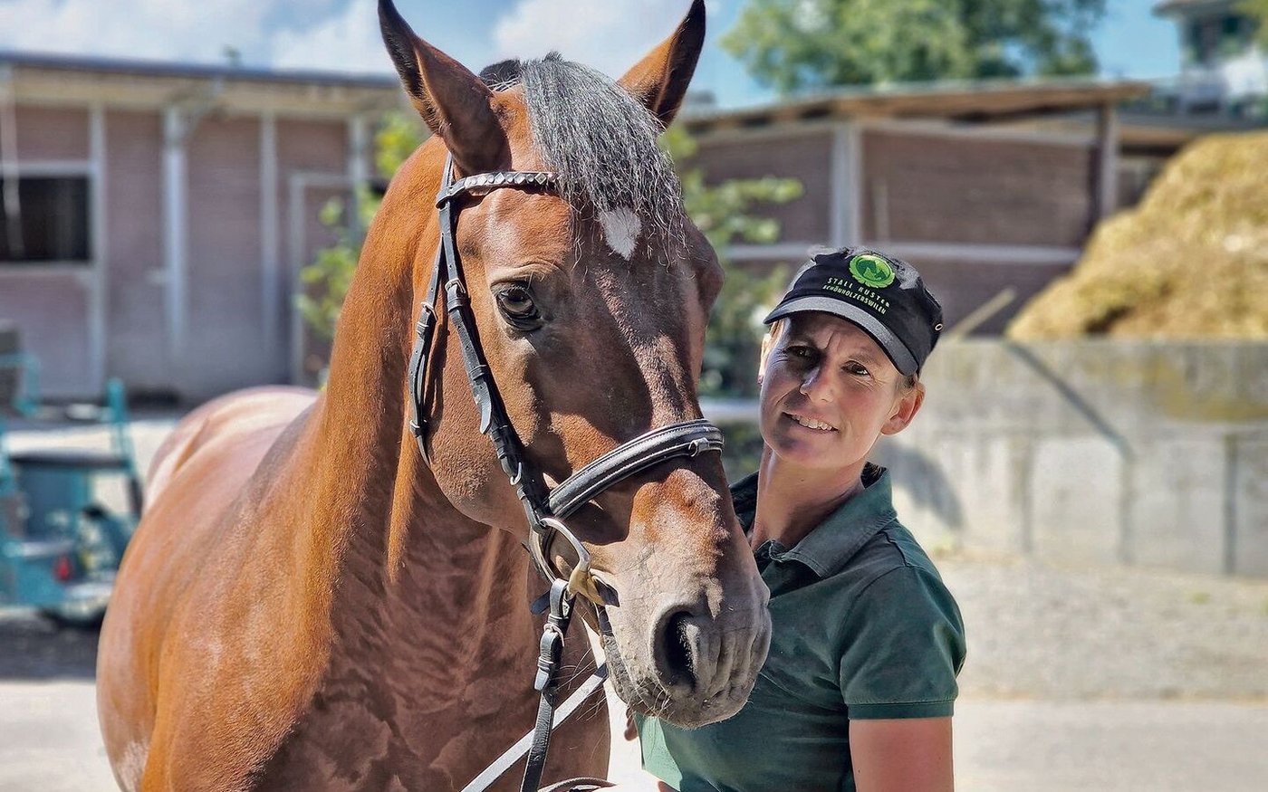 Ein exterieurstarkes Traumpaar: Freibergerhengst Latino und Manuela Kuster.
