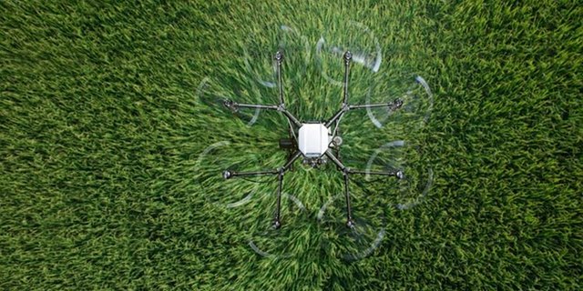 Weniger Pflanzenschutz, bedeutet mehr Handarbeit. (Symbolbild Pixabay)