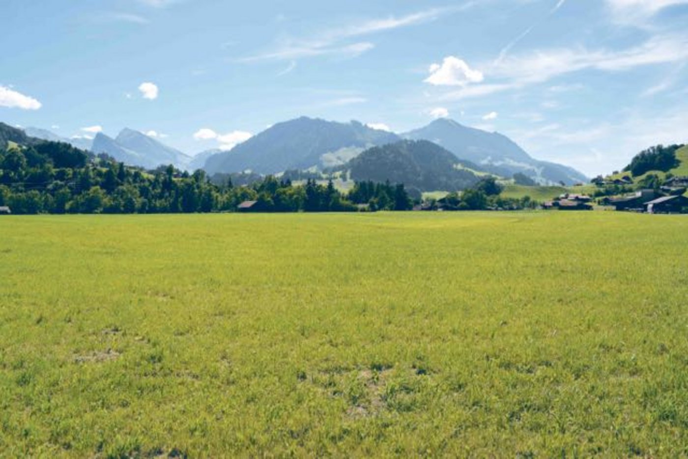 Hier soll sie stehen: Der Verein «Naturparkkäserei Diemtigtal», bestehend aus der IG Milchverarbeitung Thomas Aeschlimann, dem Naturpark Diemtigtal und der Aaremilch AG plant eine Käserei im Diemtigtal. (Bild Daniela Joder)