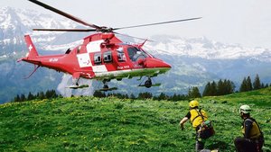 Wenn Viehhüterdrähte Wenn Viehhüterdrähte und Heuseile, die mehr als zwei Meter über dem Boden gespannt sind, markiert werden, kann schon sehr viel zur Sicherheit der Rega-Crew beigetragen werden.