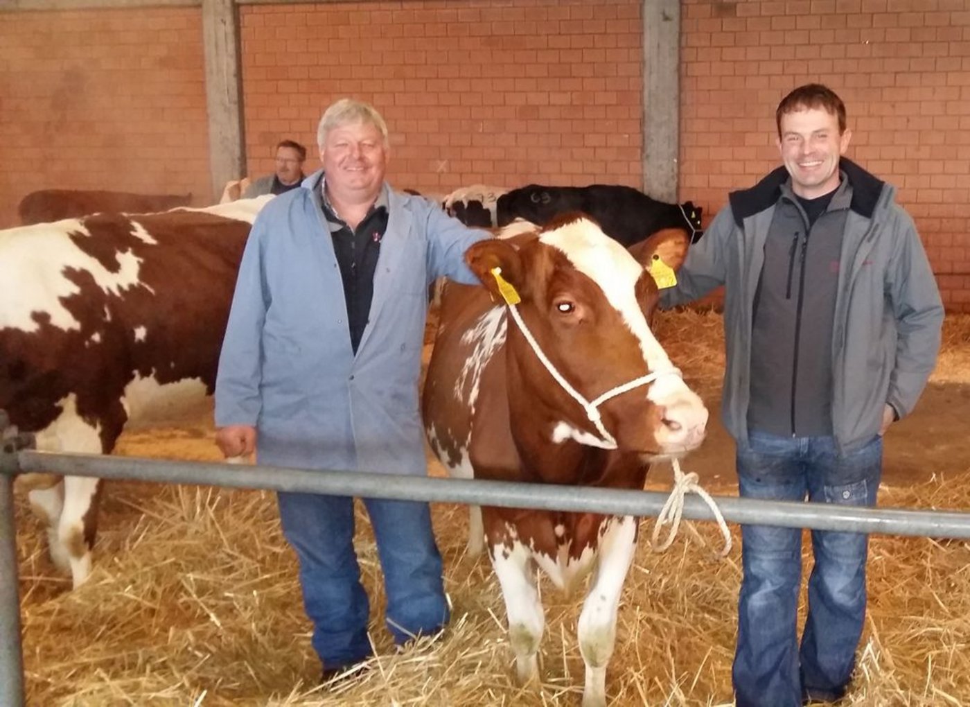 Sind heute Donnerstagmorgen schon zeitig auf dem Schwand: Fritz Läderach (links) und Bernhard Ryser vor der letzten Zucht- und Nutzviehauktion. (Bild sb)