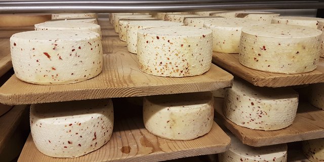 In den letzten 3 Jahren nahm der Käseabsatz in der Gastronomie stetig zu. (Symbolbild lid)