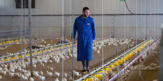 Die Pouletmast war für Mathias Leuenberger Neuland, aber nach anderhalb Jahren ist er überzeugt von dem Betriebszweig. (Bilder Pia Neuenschwander)
