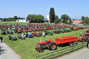 Optimales Ausstellungsgelände mit optimaler Zufahrt zur Staatsdomäne Münsterlingen. (Bilder August Sidler)