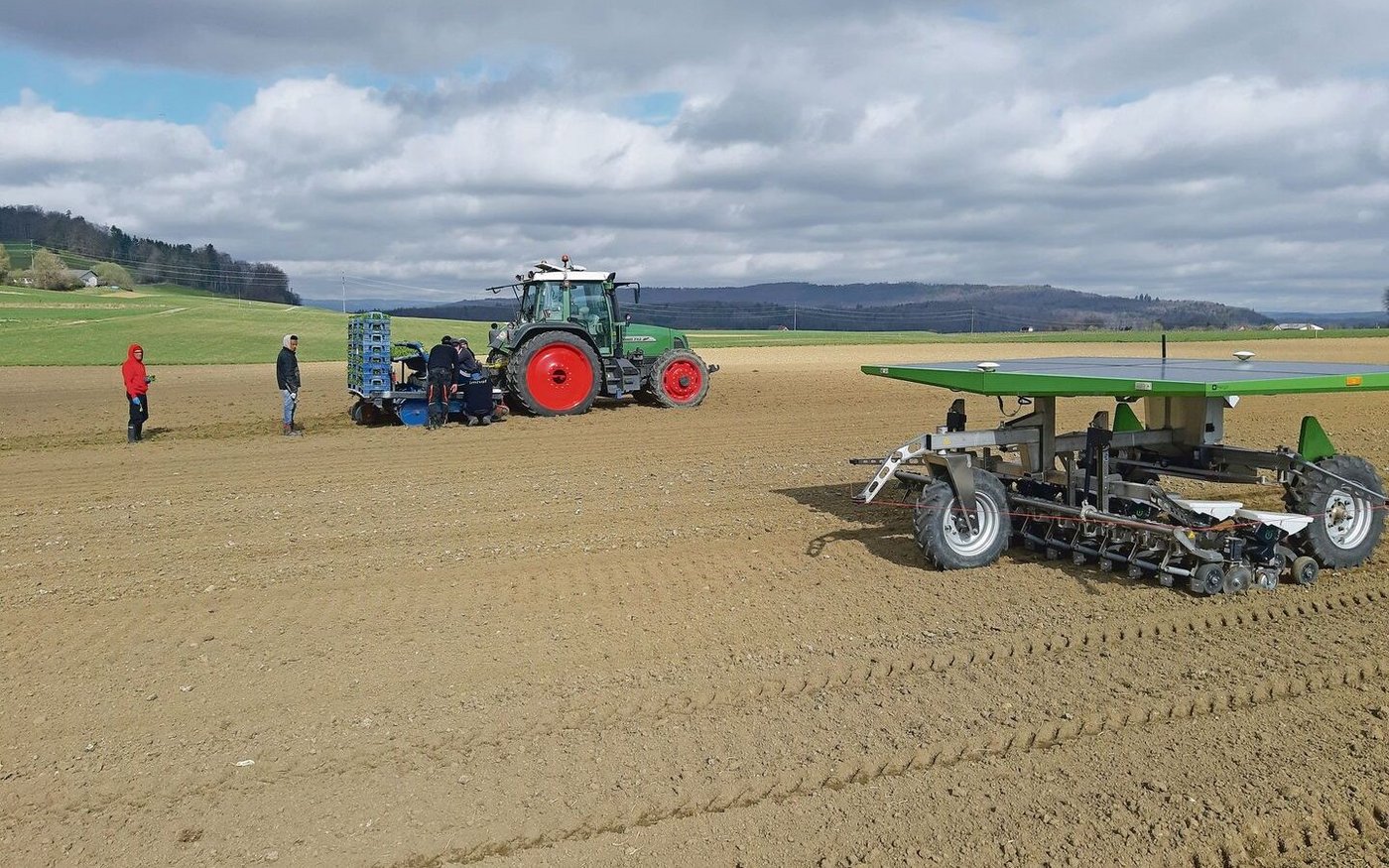 FiBL-Versuch in Rheinklingen: Im Vordergrund sät der Farmdroid und im Hintergrund setzt die Pflanzmaschine.