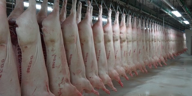 Von Januar bis Mai erreichte die Importmenge an Fleisch rund 2,2 Mio Tonnen; das waren 23 Prozent mehr als in der Vorjahresperiode. (Bild Josef Kottmann)