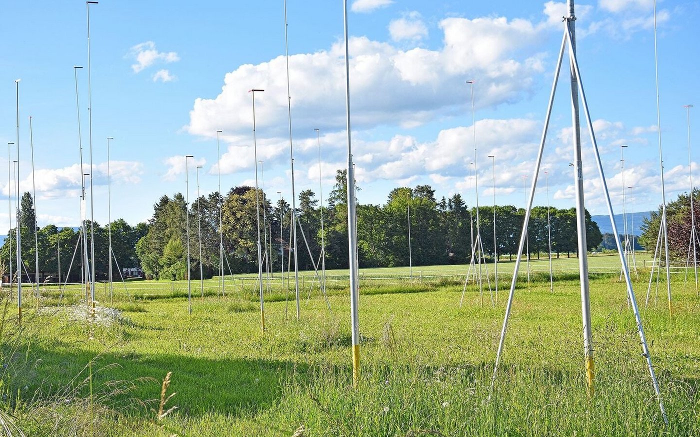 Die Zersiedelung sei ein Problem für die Biodiversität, stimmt Pro Natura zu. Es gelte, alle Faktoren im Blick zu behalten.