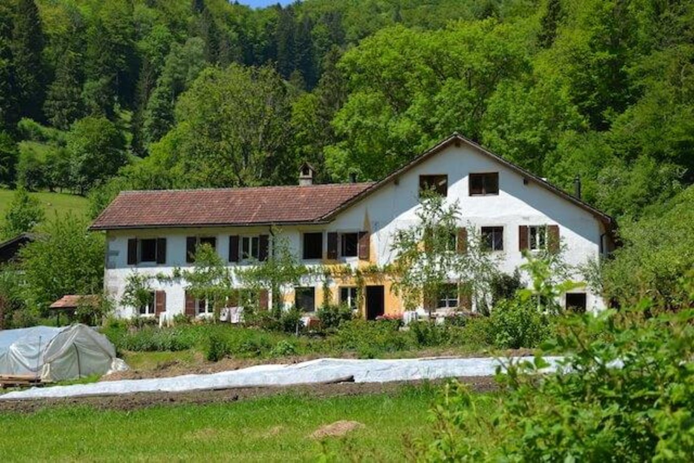 Die gelbe Sonne ziert nicht nur die Fassade des Hofs, sondern findet sich auch im Inneren des Gebäudes wieder. (Bild jsc)