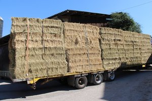 Man betont, dass bei der Preisfestlegung auch die Qualität berücksichtigt werden muss. (Bild rü)