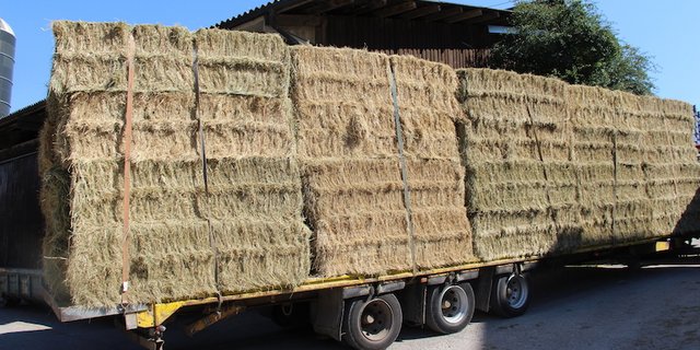 Man betont, dass bei der Preisfestlegung auch die Qualität berücksichtigt werden muss. (Bild rü)