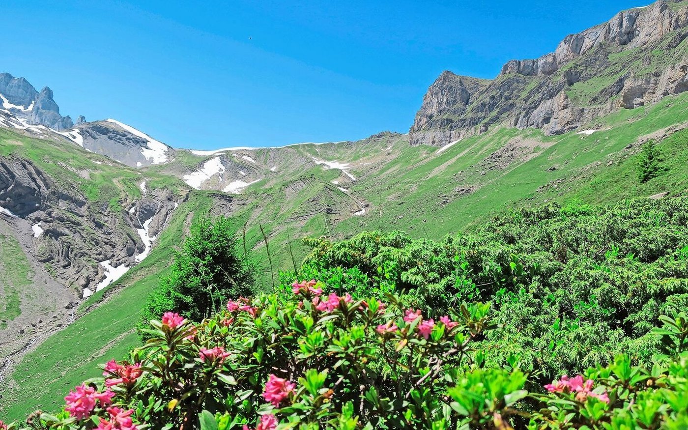 Der Alpsommer 2025 lockt mit Jobs.  