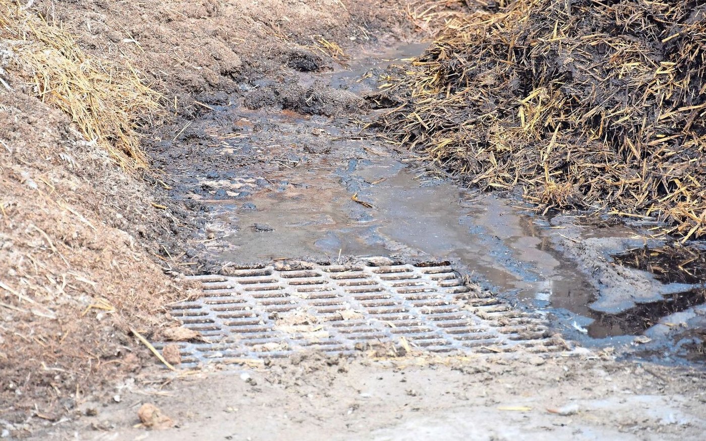 Das Gaspotenzial unterscheidet sich je nach Mistart: Aus Geflügelmist gibt es mehr. Bei Gülle ist viel Wasser dabei, das ein grösseres Volumen beansprucht. 