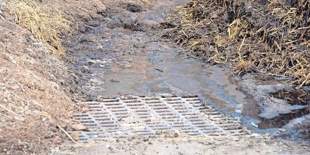 Das Gaspotenzial unterscheidet sich je nach Mistart: Aus Geflügelmist gibt es mehr. Bei Gülle ist viel Wasser dabei, das ein grösseres Volumen beansprucht. 