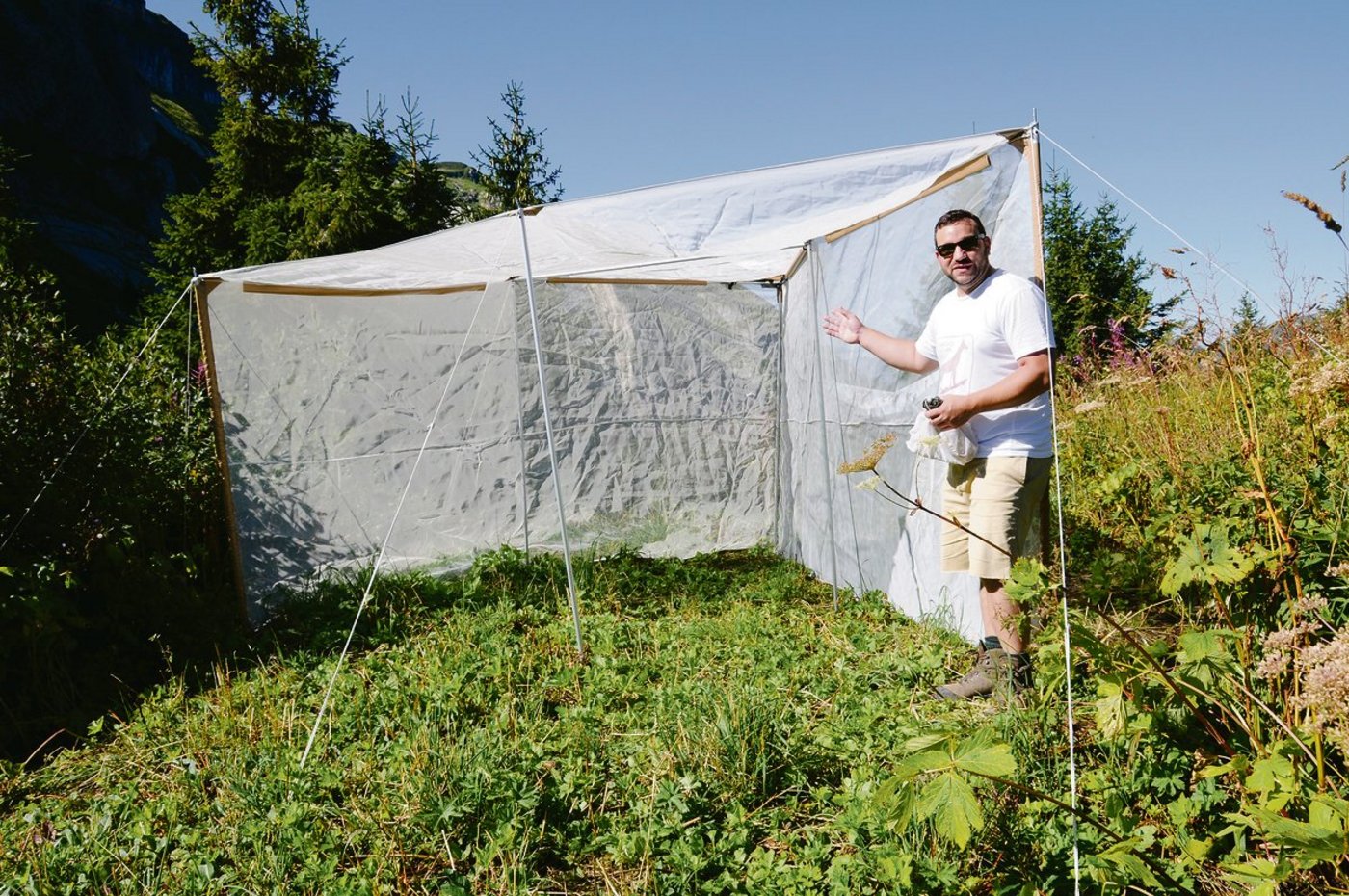 Myles Menz vor der Insektenfalle auf dem Col de Bretolet. Diese ist ein exakter Nachbau der Falle aus den 1960er-Jahren, um die Vergleichbarkeit der Zahlen sicherzustellen. (Bild Mirella Wepf)