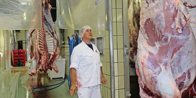 Proviande Taxierer Ady Zurfluh beurteilt die Schlachtkörper nach Fleischigkeit und Fettabdeckung. 