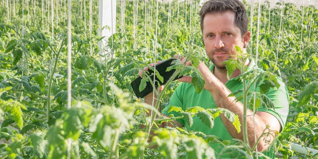 Seeländer Gemüseproduzent Pascal Gutknecht ist überzeugt, dass wir bezüglich Digitalisierung erst am Anfang stehen. Solche Anlagen würden sich anbieten. (Bild David Eppenberger) 