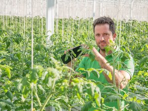 Seeländer Gemüsegärtner sind bei Test-Anlage für Vertical Farming dabei Seeländer Gemüseproduzent Pascal Gutknecht ist überzeugt, dass wir bezüglich Digitalisierung erst am Anfang stehen. Solche Anlagen würden sich anbieten. (Bild David Eppenberger)