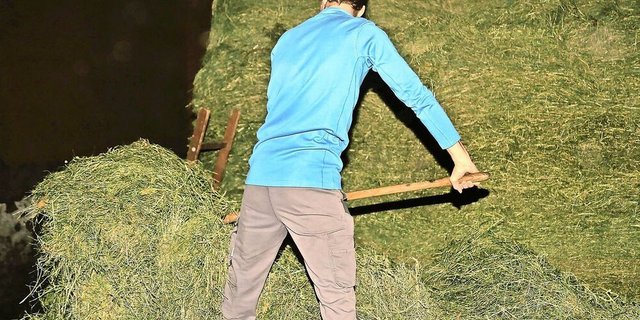 Jahrelang tagtäglich schwere Lasten zu bewegen, kann sich negativ auf die Gesundheit auswirken.