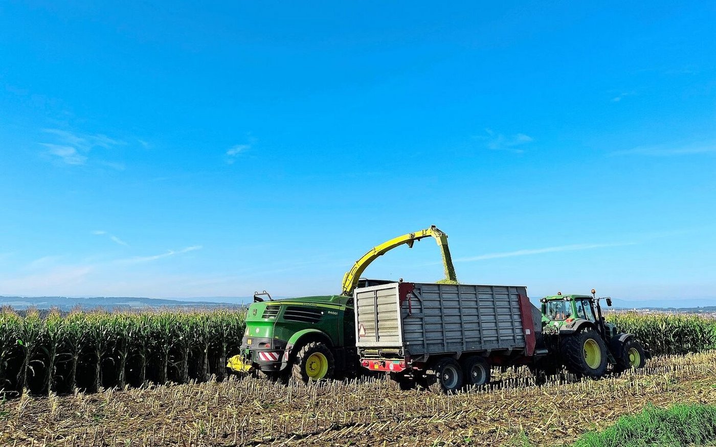Zwar hat es nicht mehr Maisballen pro Flächen gegeben, aber der Maiskörner-Anteil an der Gesamtpflanze ist diese Saison viel höher ausgefallen. Das beobachtet René Bünter von der Schweizerischen Silovereinigung.
