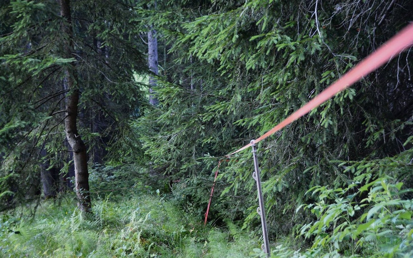 Wie nah darf gezäunt werden? Temporärer Zaun am Waldrand auf einer Alpweide im Entlebuch. 