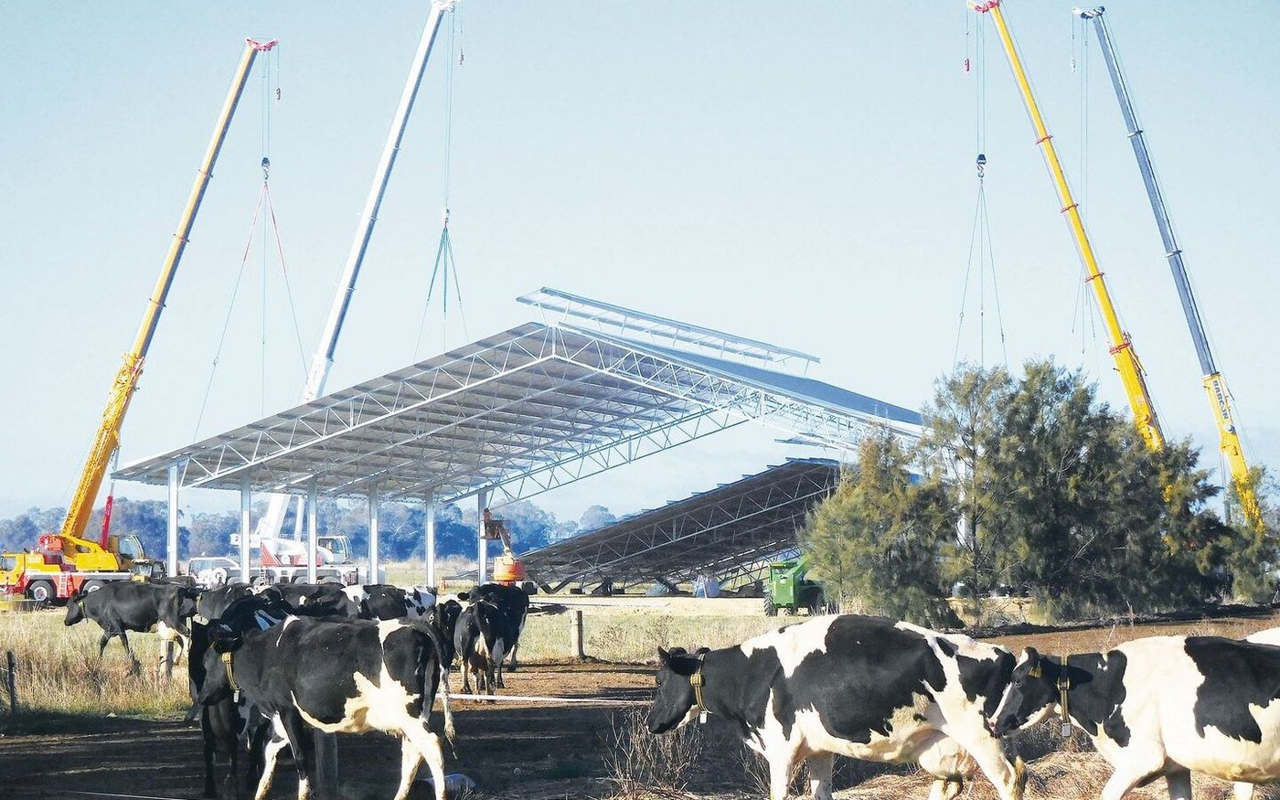 Die Winterscheune während des Baus: Letzten Winter gab es wegen überdurchschnittlich viel Regen auf den Weiden grosse Schäden. Nun können sich die Kühe unterstellen.