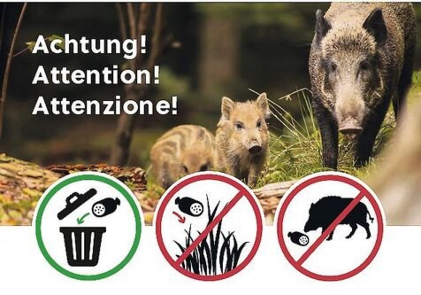 Solche Plakate, mit Textergänzung, sollen auf die Risiken von ASP hinweisen. Und dass keine Speiseabfälle weggeworfen werden sollen.