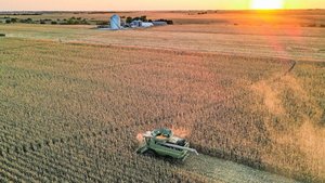 In der Schweiz sieht In der Schweiz sieht die Landwirtschaft ganz anders aus als in Amerika. Das macht es schwieriger, die Regenerative Landwirtschaft als neuen Produktionsstandard zu positionieren.