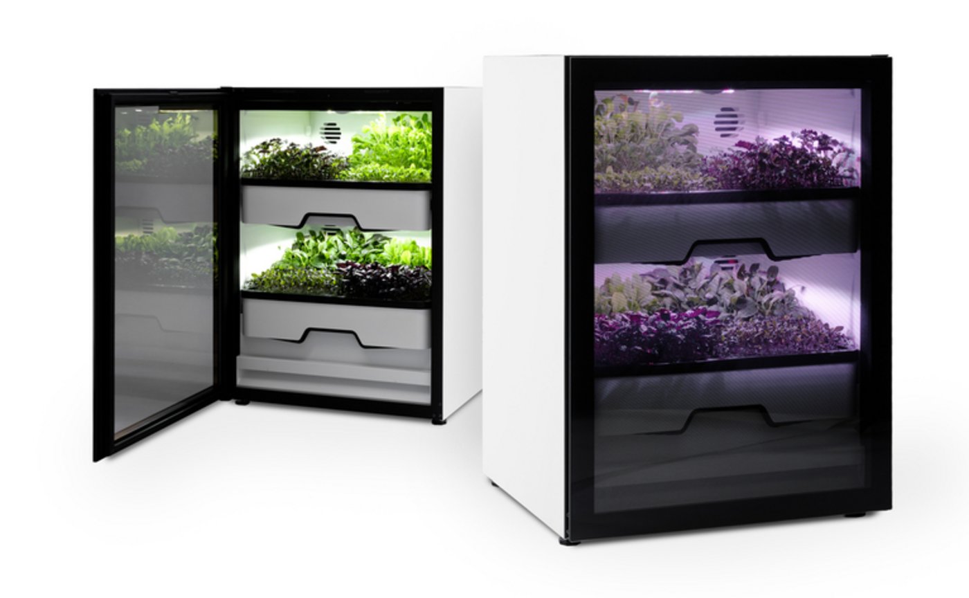 Vielleicht stehen in unseren Haushalten schon bald solche Vertical-Farming Kästen. (Bild Agrilution Plantcube, zVg)