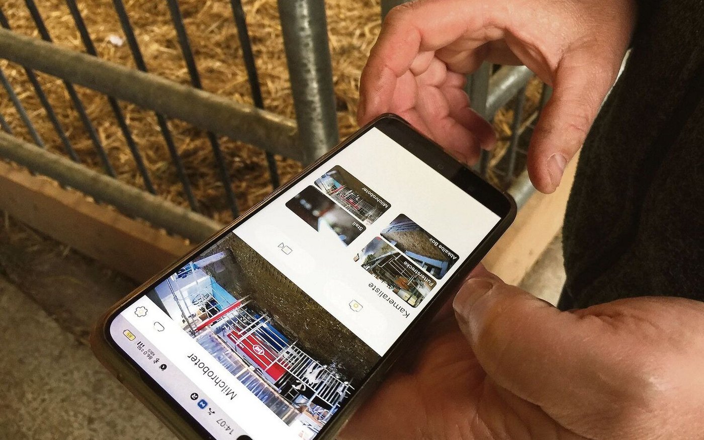 Der Stall ist mit vier Kameras bestückt. Beat Schär kann jederzeit auf dem Handy kontrollieren, ob alles rund läuft. 