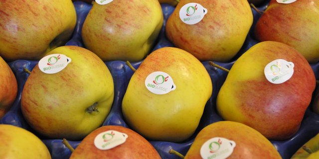 Ab nächstem Jahr wird die Knopse auch in der Migros anzutreffen sein. (Bild Bio Suisse)