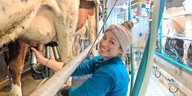 Lieber im Stall Kühe melken, als auf Maschinen Wiesen mähen: Daniela Köpfli bei der Lieblingsarbeit im Melkstand auf der Schwand.  
