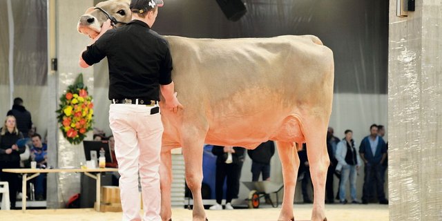 Die Jungkuh Auer’s Brice Urmina von IGBS-Präsident Roman Auer fand für 10 000 Franken einen neuen Besitzer.