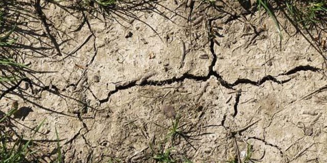 Steigt die globale Erwärmung um drei Grad Celcius an, sollen sich laut dem Wissenschaftler-Team auch die Dürrefläche in Europa verdoppeln. (Bild pd)