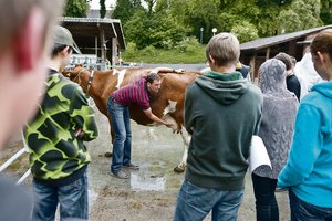Landwirte im ersten Lehrjahr lauschen den Ausführungen eines Berufsschullehrers: Nicht immer läuft die Ausbildung harmonisch ab. Manchmal kann da die kantonale Lehraufsicht helfen. (Bild Keystone)
