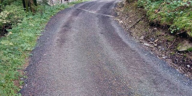 So nicht: Auf dieser Waldstrasse wurde mit Fräsasphalt aufgeschottert, das war schon früher illegal. 