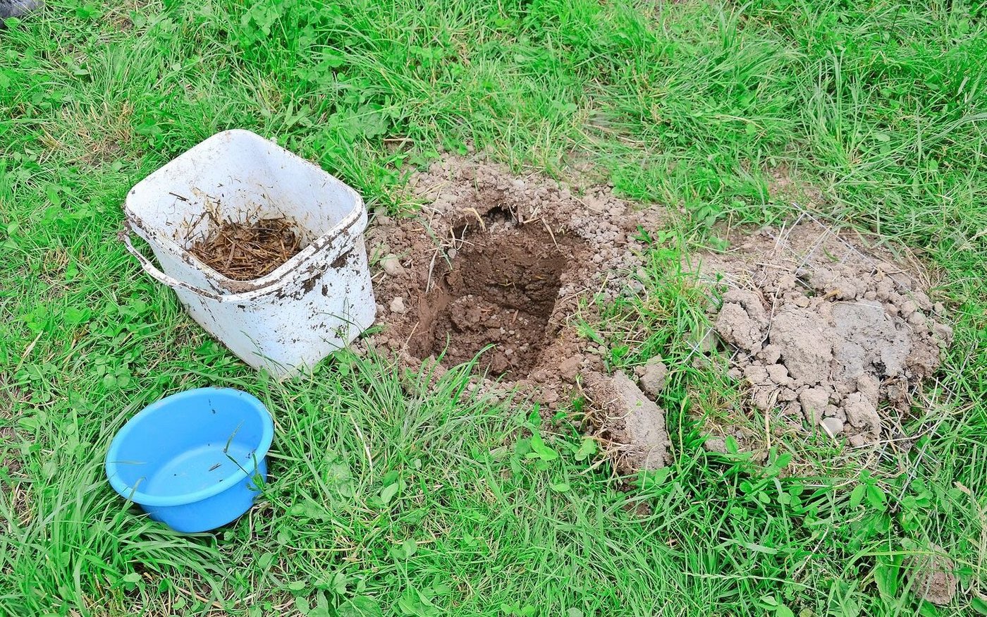 Ein eingegrabener Bottich dient mit einem Kuhfladen auf einem Gitter darüber als Mistkäferfalle. Im Kessel landen auch zahlreiche andere Käfer.
