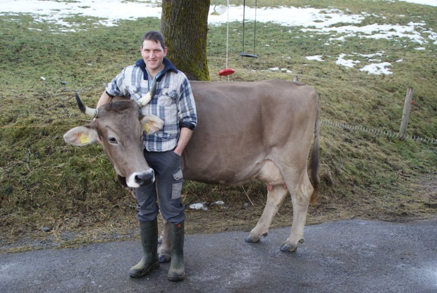 Michael Raschle mit der Original Braunen Kuh Donau. (Bilder Michael Götz)