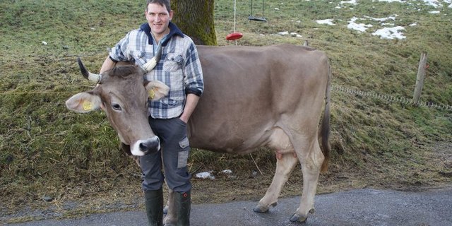 Michael Raschle mit der Original Braunen Kuh Donau. (Bilder Michael Götz)