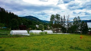Die ersten Gastgeber von Angela Ineichen hatten einen Biobetrieb mit Kleintieren und verschiedenem Gemüse. Hier die Aussicht über den Biohof und den Mjøsa-See.