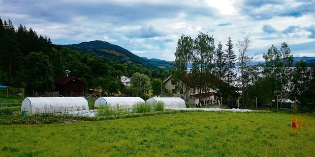Die ersten Gastgeber von Angela Ineichen hatten einen Biobetrieb mit Kleintieren und verschiedenem Gemüse. Hier die Aussicht über den Biohof und den Mjøsa-See.