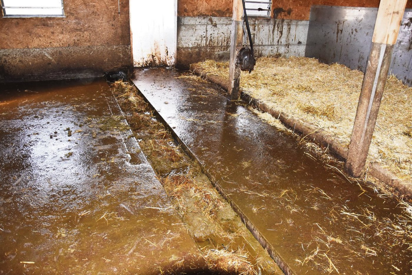 Bei einer Tierschutzkontrolle kam heraus, dass diese Schubstangenentmistung abgedeckt werden muss.