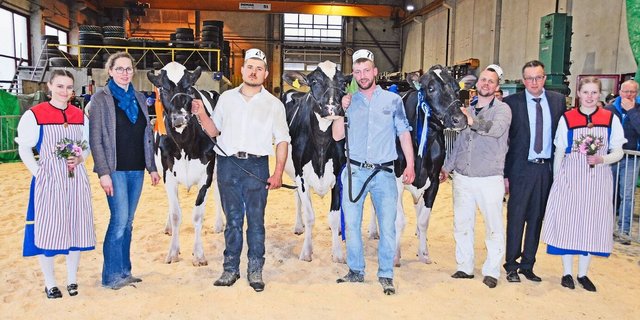 Die Senior-Siegerinnen (v. r.): Jungo Attraction Blessing (Champion), Jungo Legend Auckland (Mention), beide von Alain Jungo aus Tentlingen, und die Reserve Galtera Farm King Doc Lilly von Philipp und Sabine Fasel aus Alterswil.  