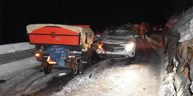 Der führerlose Ausritt führte dazu, dass sich eine Frau und die Pferde leicht verletzten. (Bild Kapo GR)